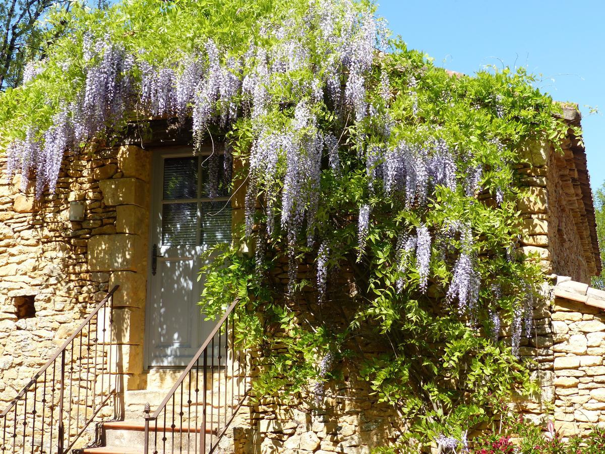 Chambres D'Hotes Les Boudines Saint-Germain-de-Belvès Pokój zdjęcie